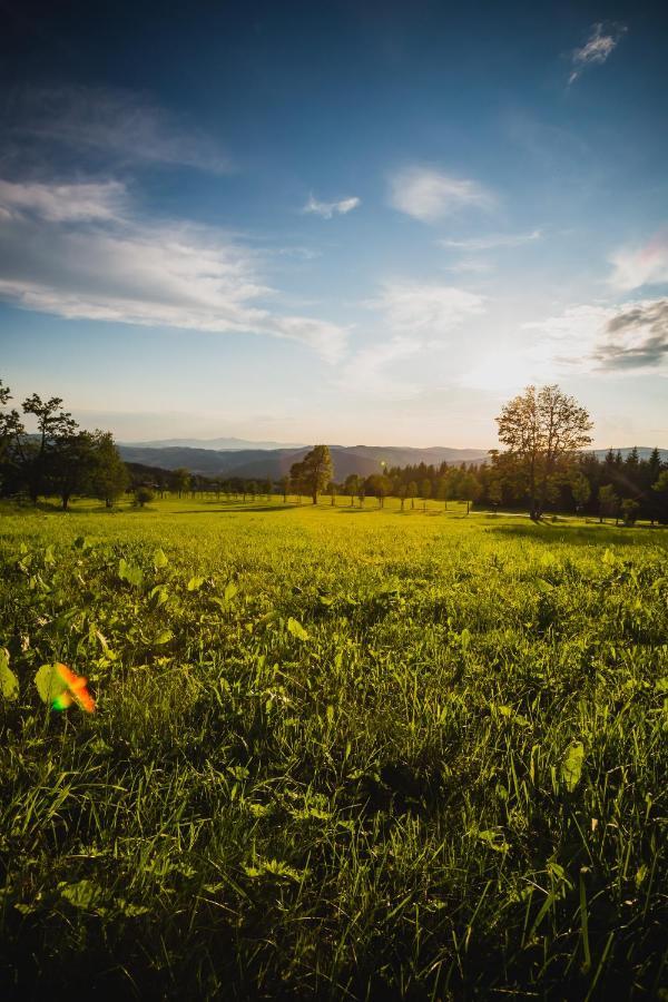 Turnovska Chata Kořenov Exterior foto